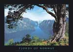 fjords
